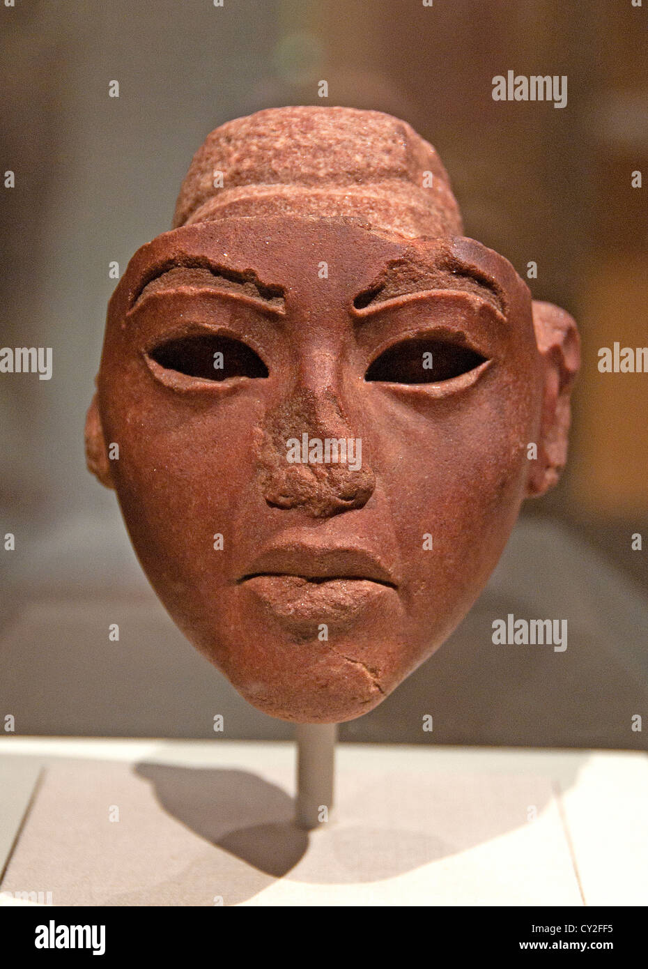Queen Tiye New Kingdom Amarna  Dynasty 18  Pharaoh Akhenaten. 1353–1336 12.5 cm Egyptian Egypt Stock Photo