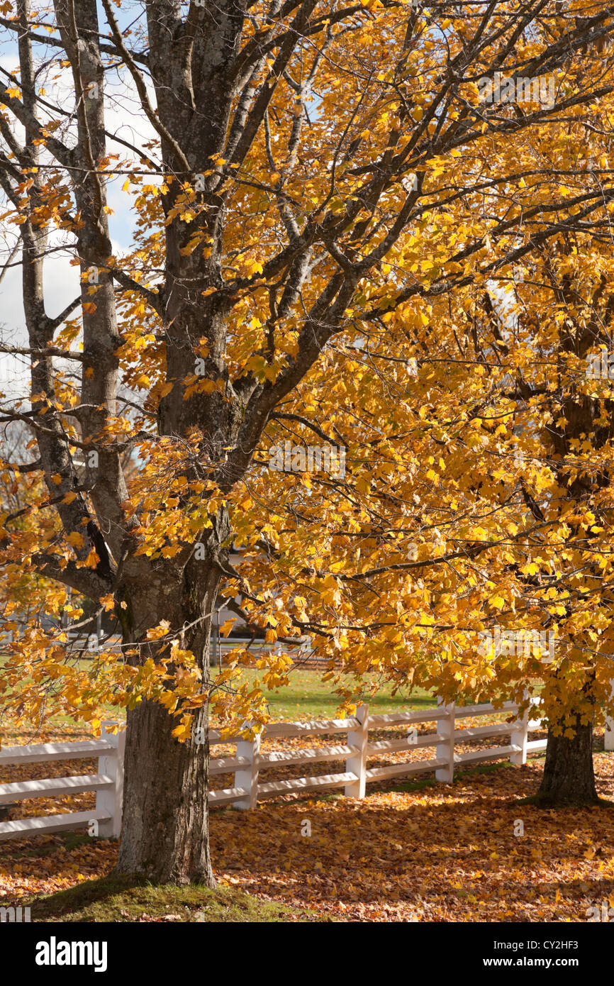 The common at Craftsbury Common Vermont Stock Photo Alamy