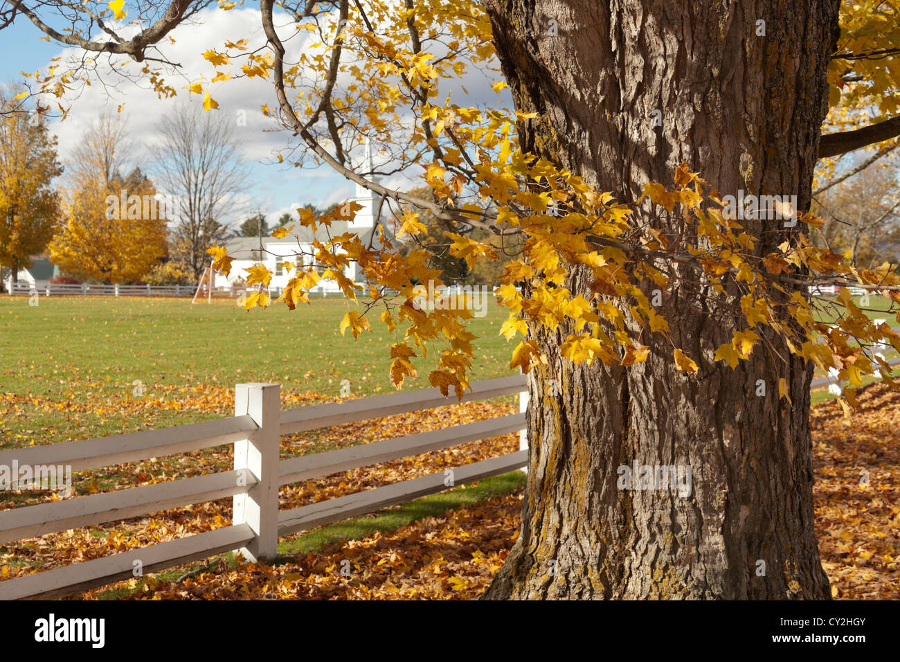 Common craftsbury common vermont hires stock photography and images