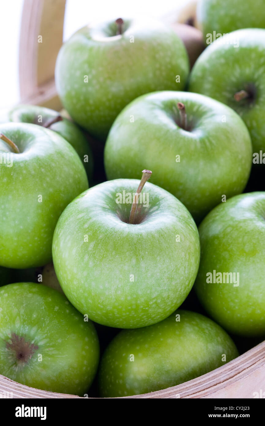 fresh harvested green granny smith apples in a wooden trug on a white background studio macro shot Stock Photo