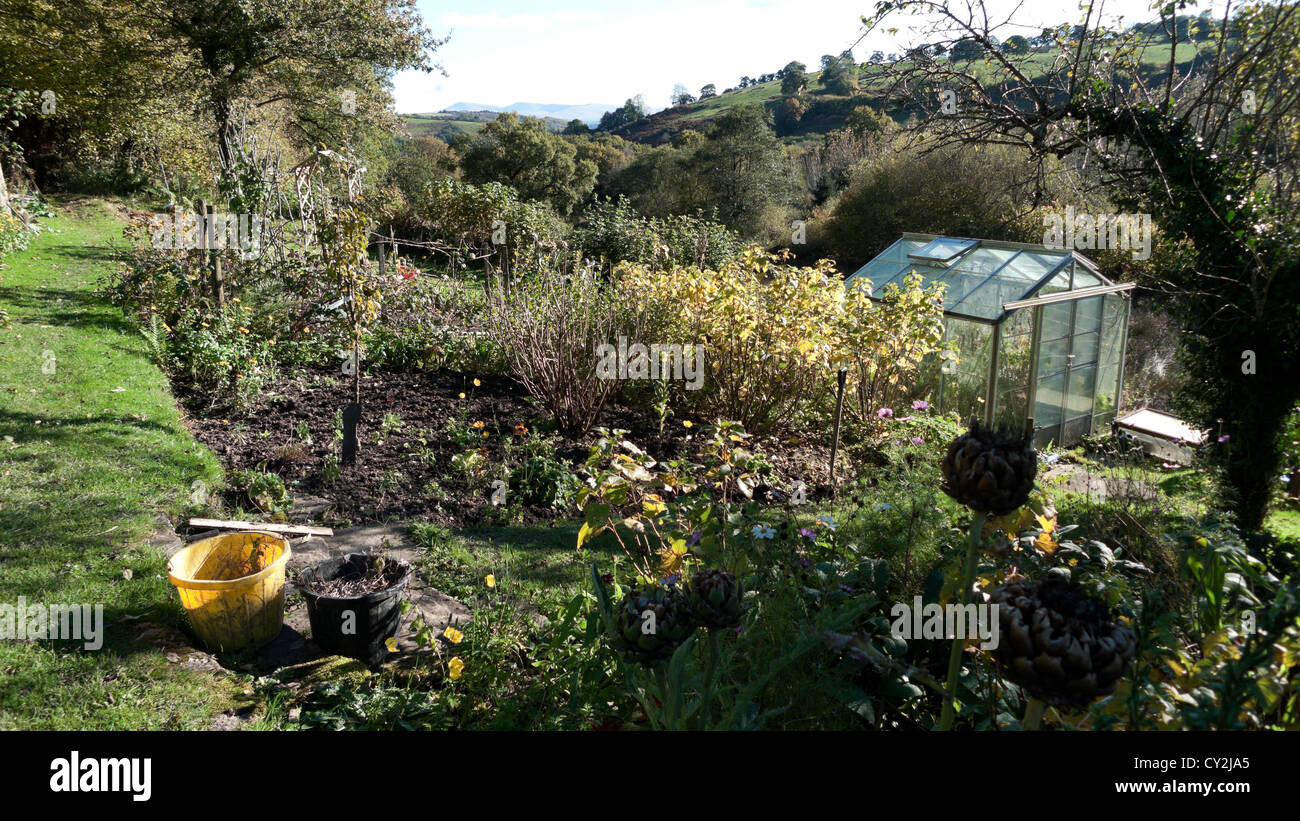 A view of a vegetable garden and greenhouse in autumn in Carmarthenshire Wales UK  KATHY DEWITT Stock Photo