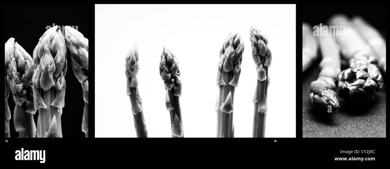 ecological asparagus collage black and white Stock Photo