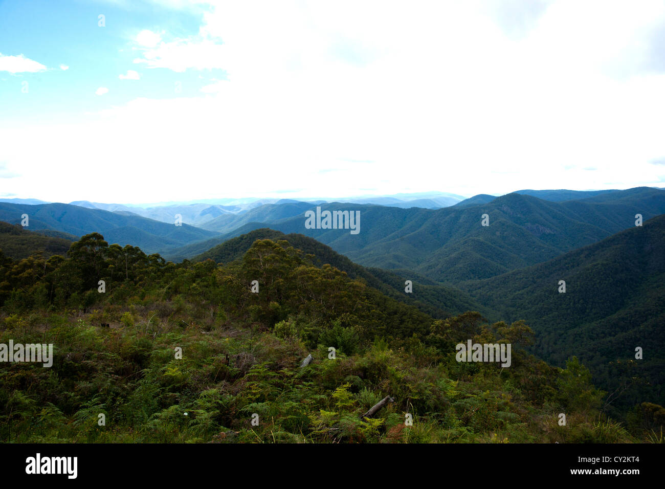 Australian rain-forest from the Raspberry Hill lookout in the Gibraltar Range National Park, World Heritage site. Stock Photo