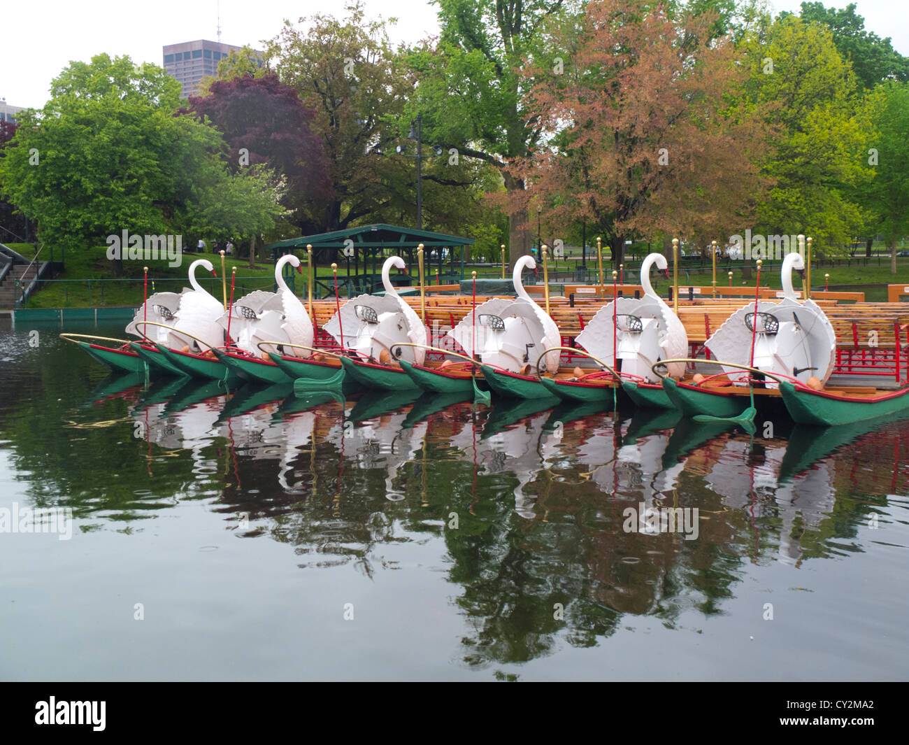 swan boats at the Boston Public Garden Stock Photo Alamy