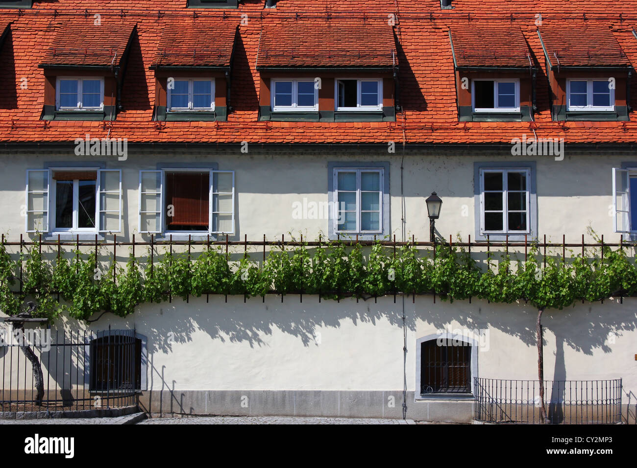 House of the oldest vine in the world - tourist attraction of Maribor, Slovenia, Stock Photo