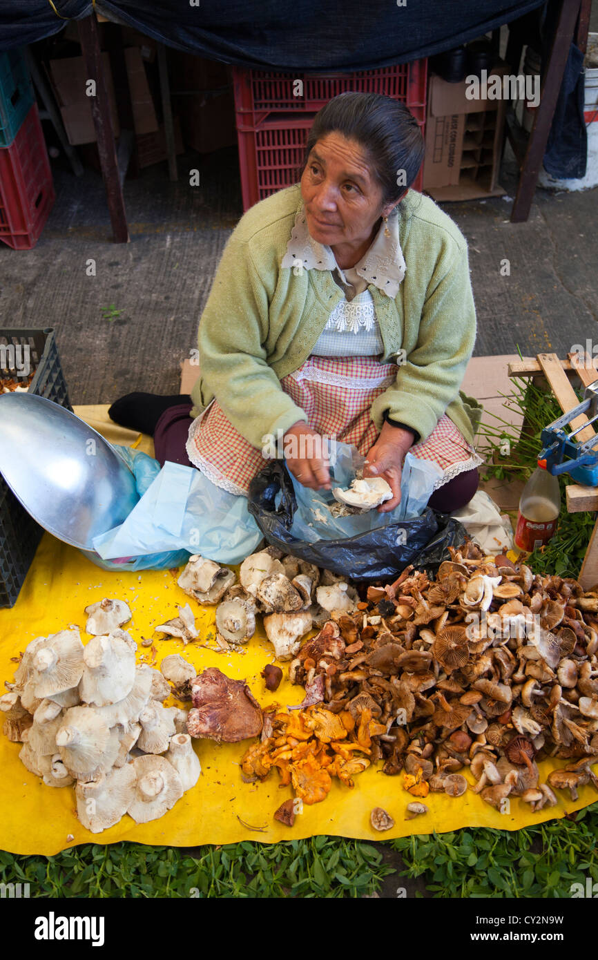 Wild Mushroom Forager at Jamaica Market in Colonia Jamaica in