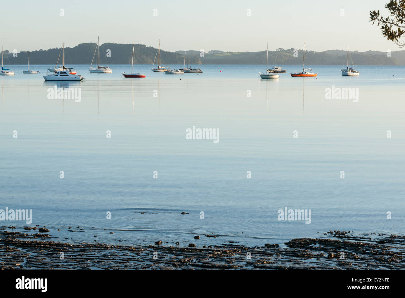 Algies bay hires stock photography and images Alamy