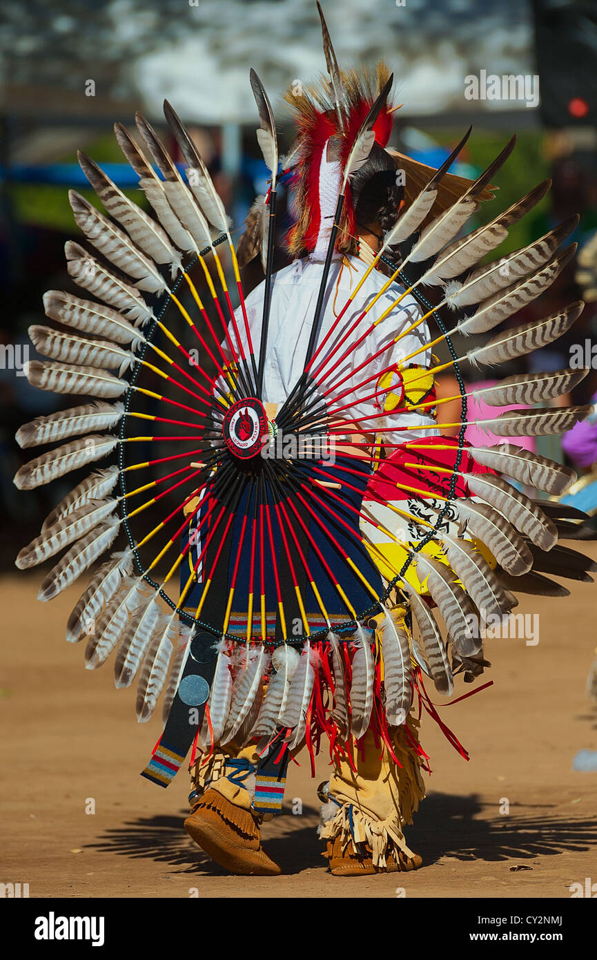 Feathers display on the back of a chumash young adult Stock Photo