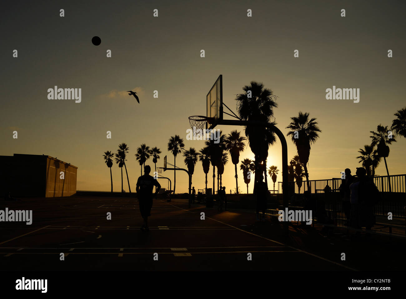 venice beach basketball california Stock Photo - Alamy