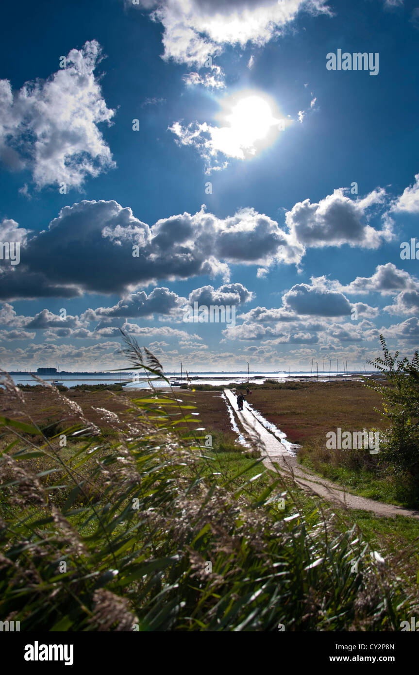 West Mersea beach Blackwater river estuary walkway across mud flats