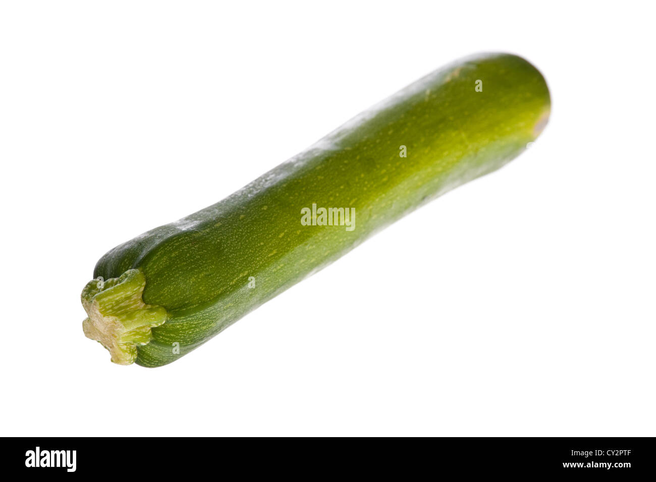 zucchini or courgette isolated on a white background Stock Photo