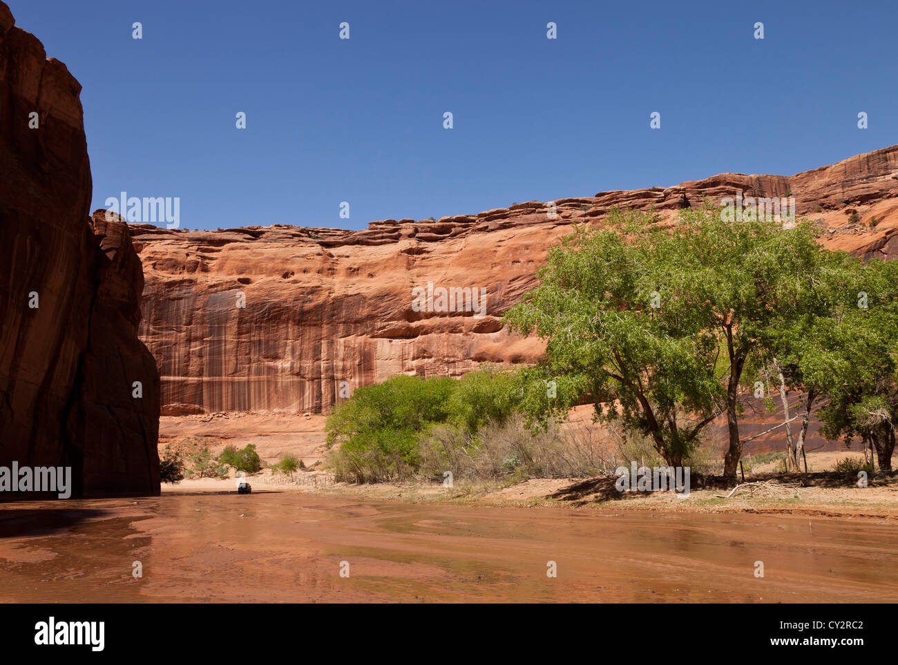 View from the canyon floor in Canyon de Chelly, Arizona, USA Stock Photo