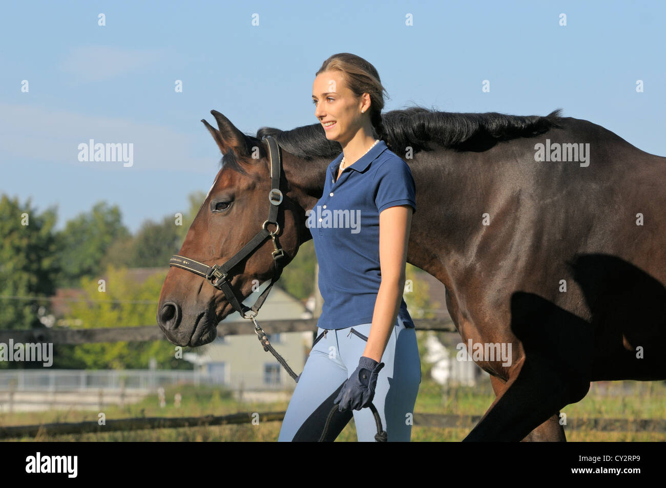 Leading a horse to or from the field Stock Photo