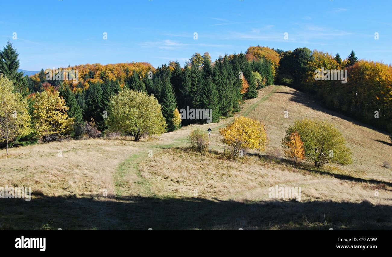 autumn Moravskoslezske Beskydy mountains bellow Mala Kykula hill with colorful forest, mountain meadow and clear sky in easternmost part of Czechia Stock Photo