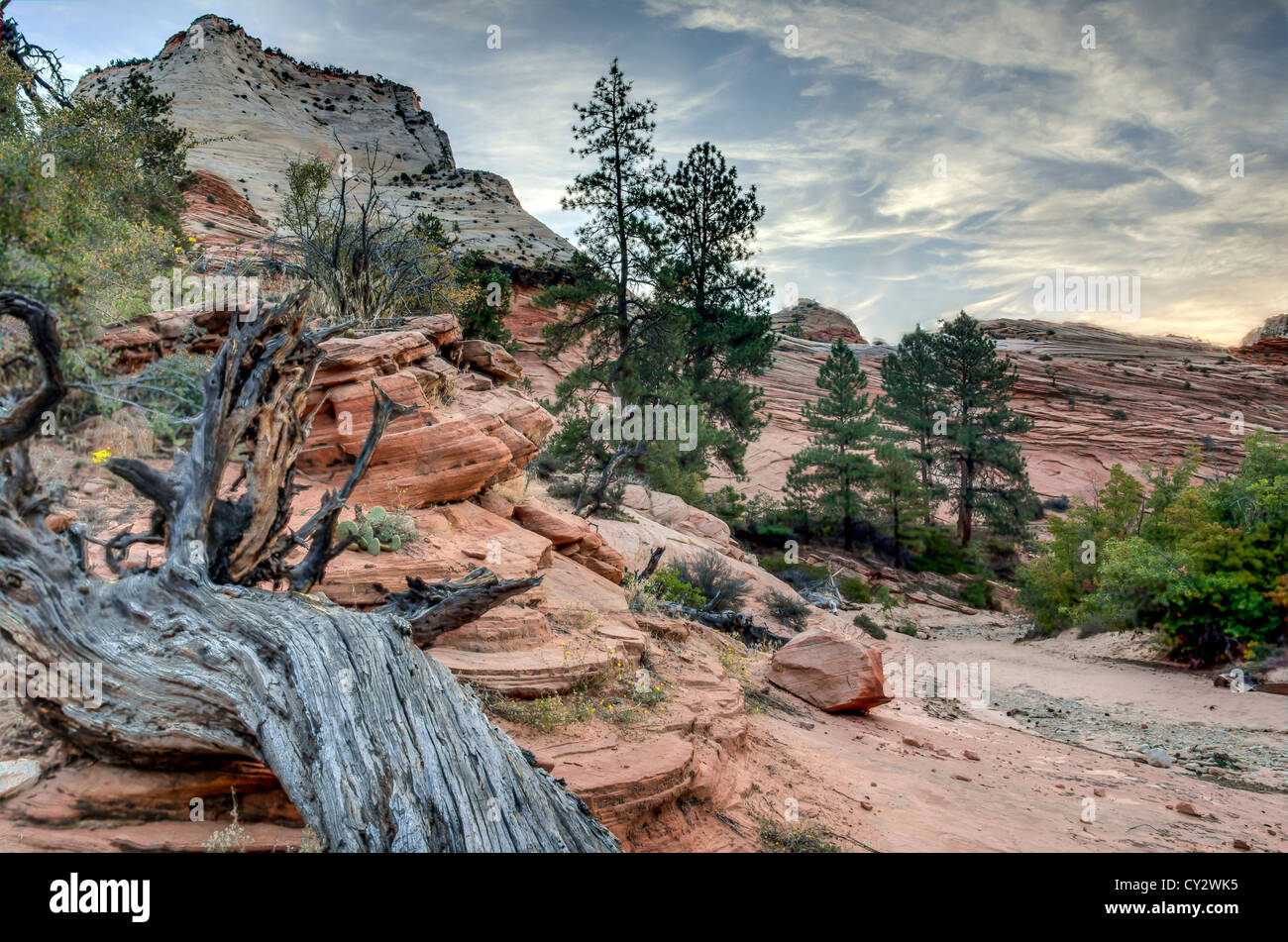 Zion National Park is located in the Southwestern United States, near Springdale, Utah Stock Photo