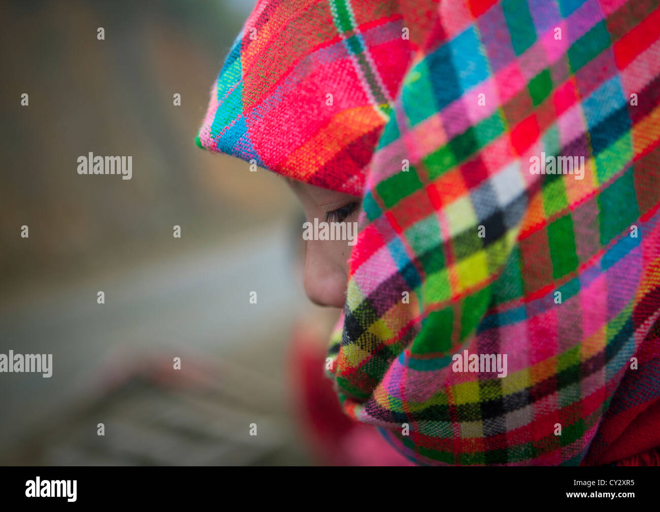 Flower Hmong Girl Wearing A Colourful Veil, Sapa, Vietnam Stock Photo
