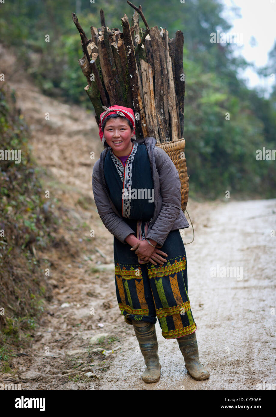 Red Dzao Woman Carrying Wood In A Basket On Her Back, Sapa, Vietnam Stock Photo