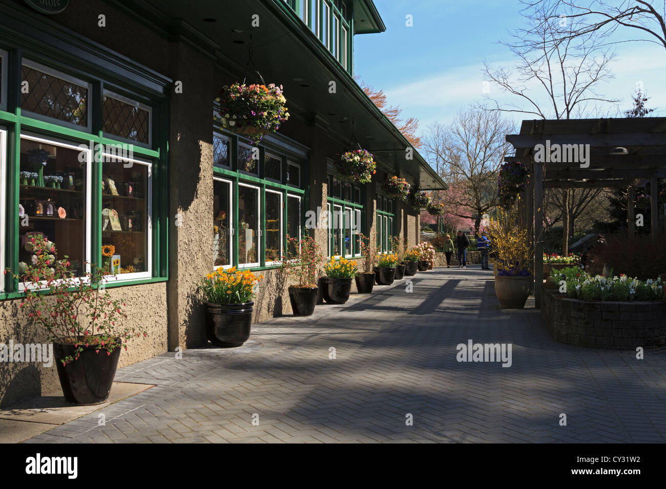 Butchart Gardens Waterwheel Square In Spring. Tubs Of Spring Bulbs Line The  Walk Outside The Gift Shop Stock Photo - Alamy