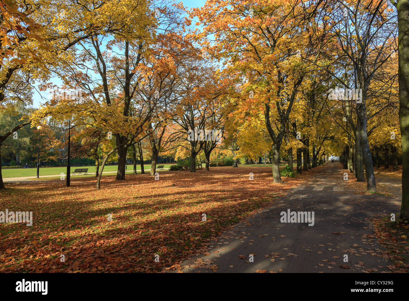 Park in vivid colors of autumn. Sopot, Poland. Stock Photo