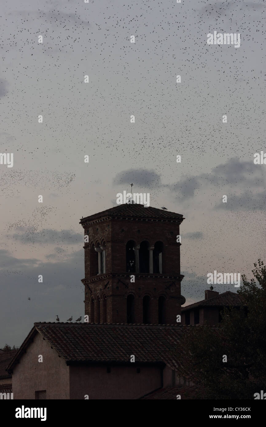 Roman building and birds migrating with a beautiful sky at dusk, Roma, Rome, Italy, photoarkive Stock Photo