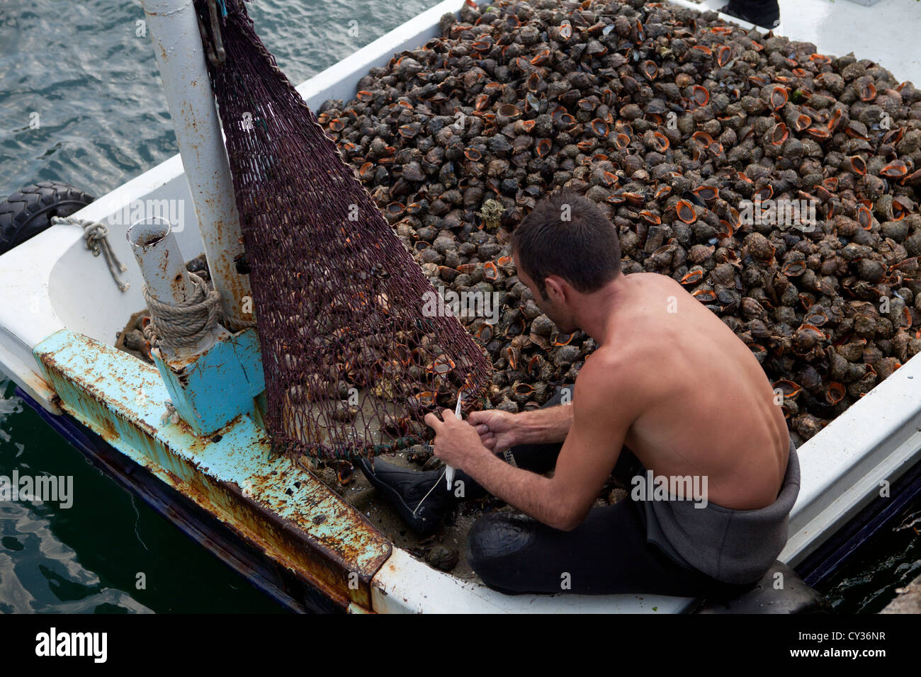mussel fishing in the bosphorus, Istanbul Stock Photo