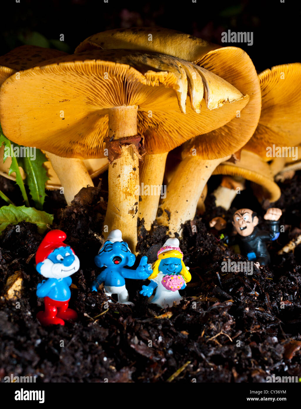 Smurfs gathered for a wedding under a mushroom with Gargamel hiding in the background Stock Photo
