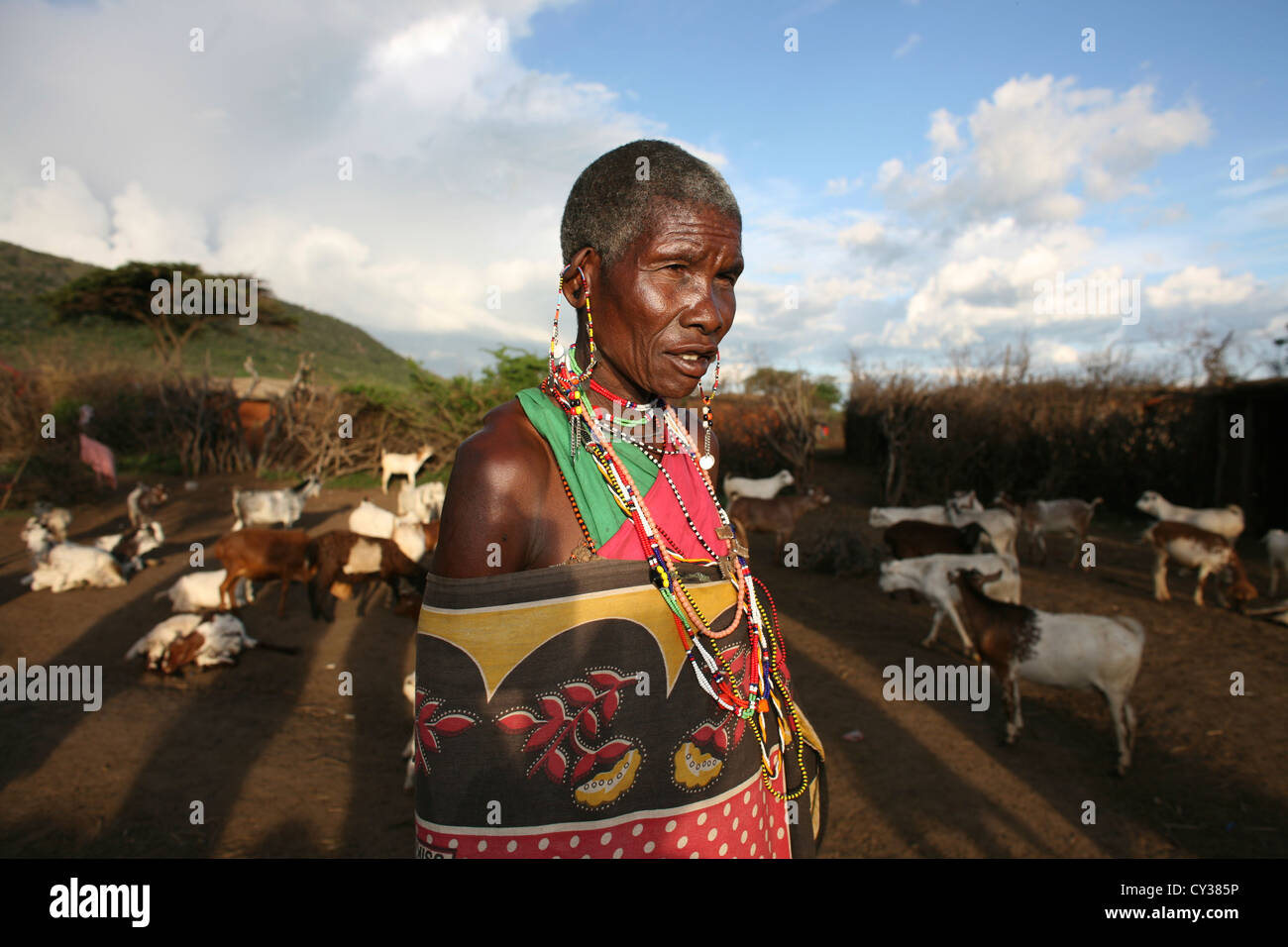 Maasai tribe in Kenyafarming, farm, agriculture, goat, goats, sheep, animal, herd, herder, herding Stock Photo