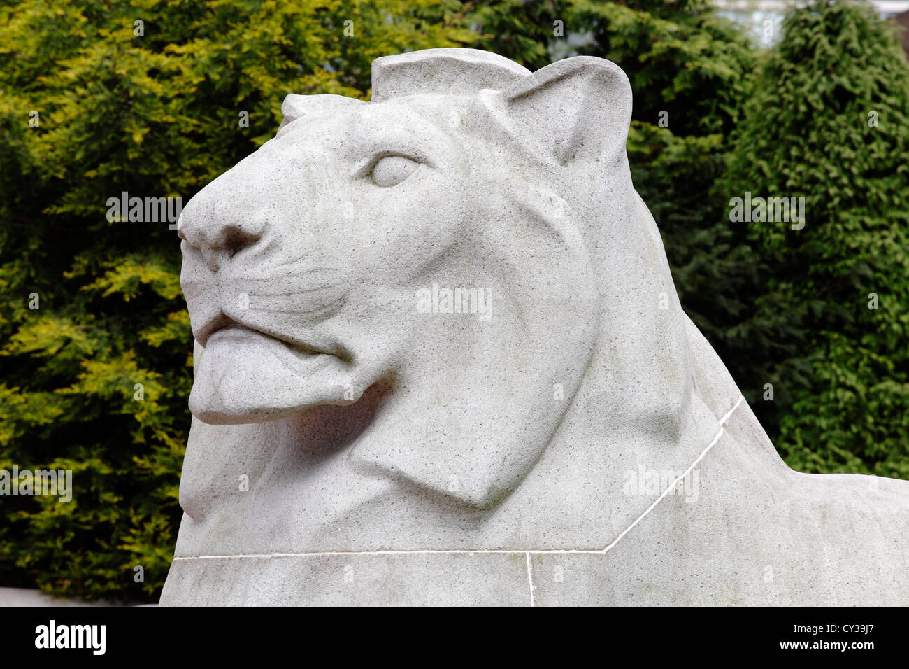 The carved head of a stone lion on the cenotaph on George Square in Glasgow city centre, Scotland, UK Stock Photo