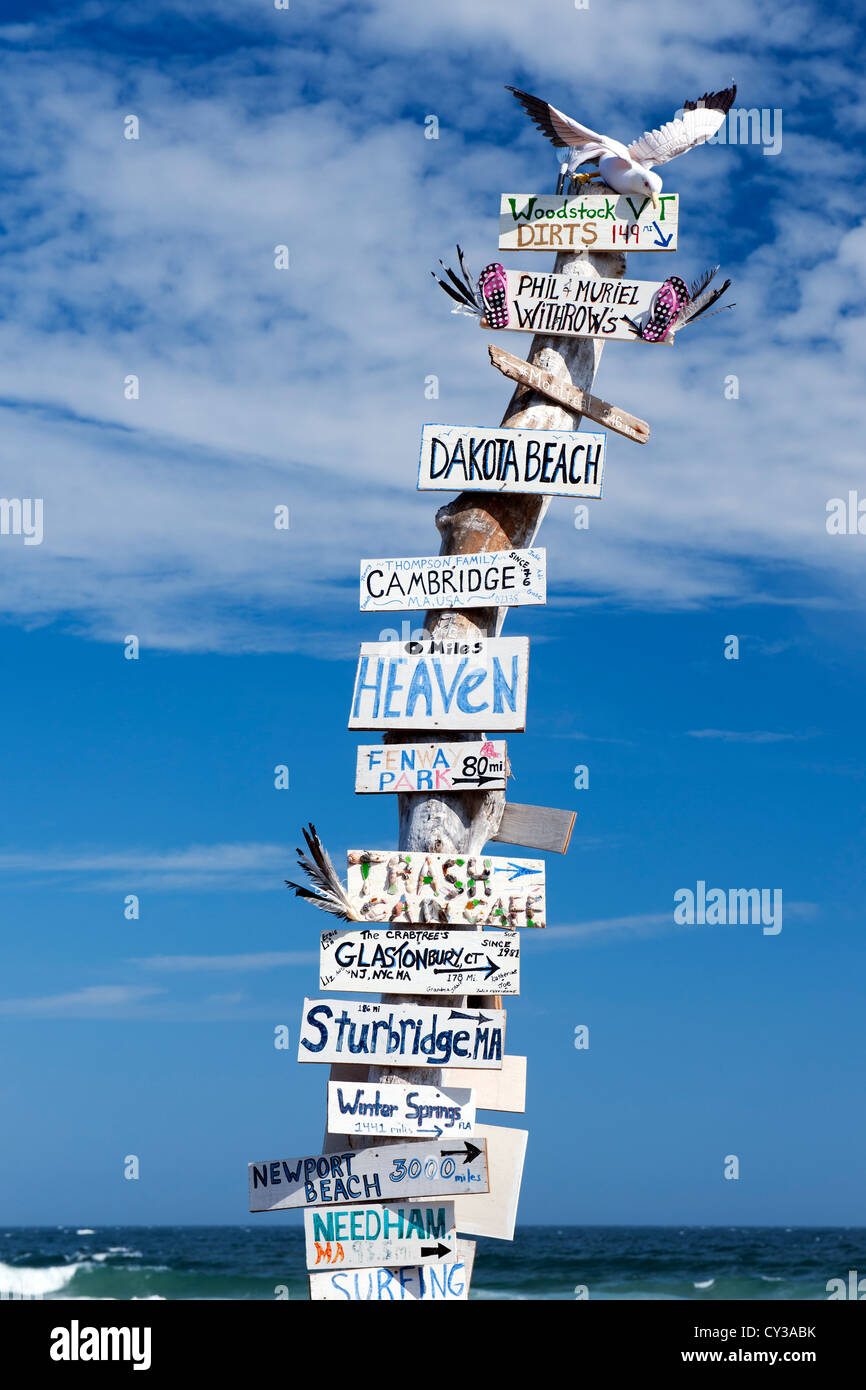 Closeup of an all directions sign post against a blue sky, Moody Beach