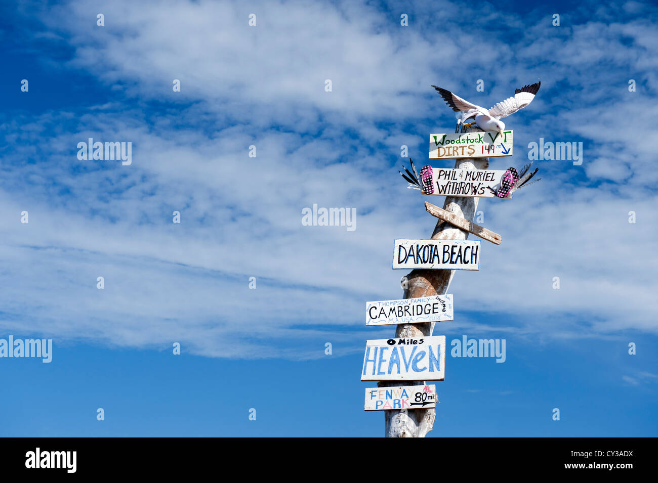 Closeup of an all directions sign post against a blue sky, Moody Beach