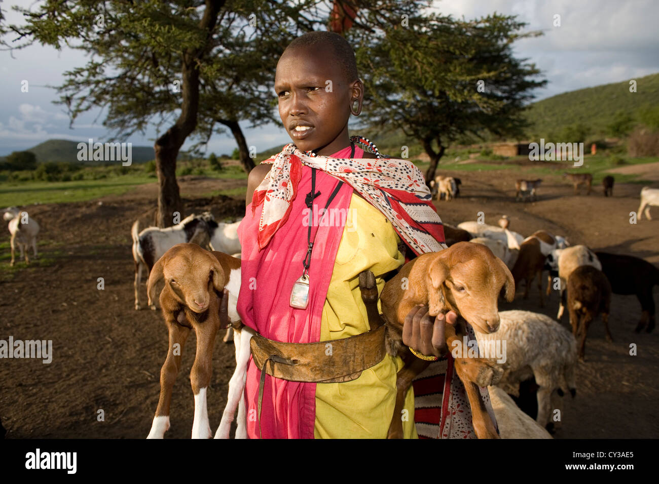 Maasai tribe in Kenyafarming, farm, agriculture, goat, goats, sheep