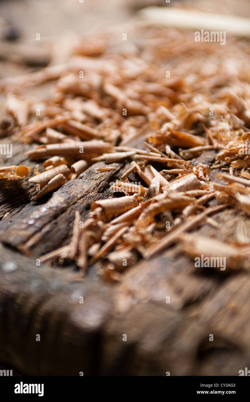 Woodwork, craftsmanship, wood shavings Stock Photo