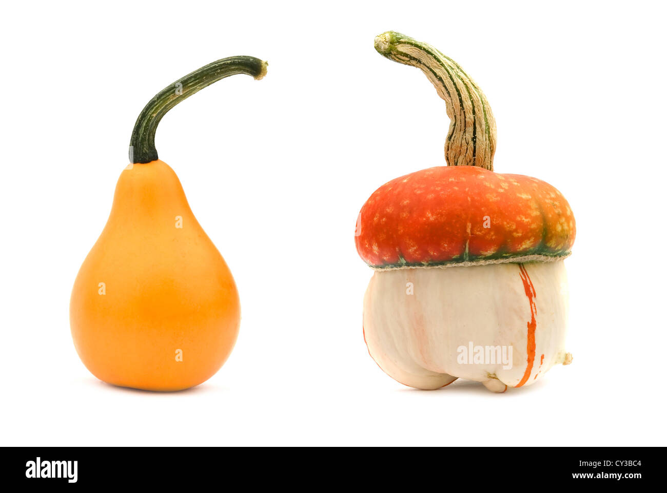 decorative pumpkins is isolated on white background Stock Photo - Alamy
