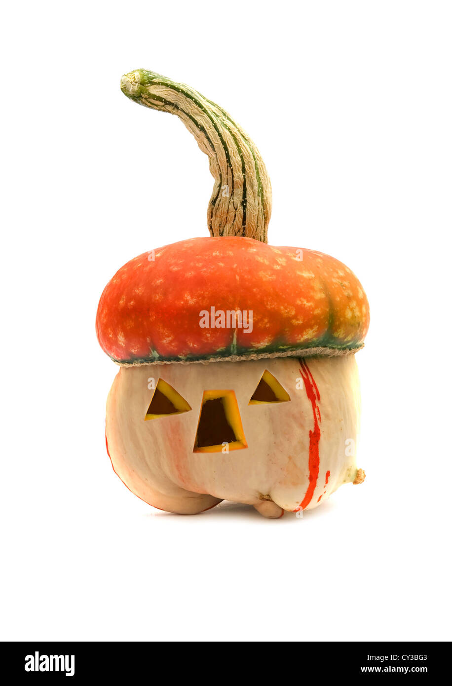 Halloween pumpkin is isolated on white background Stock Photo - Alamy