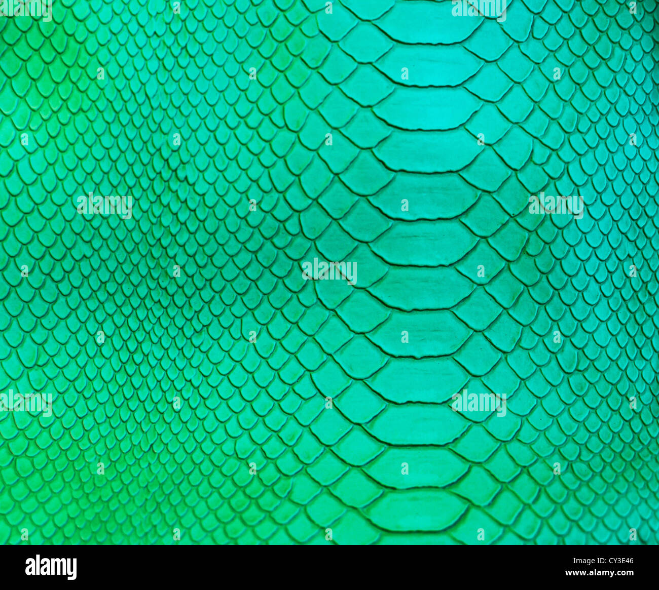 Crocodile skin pattern Stock Photo - Alamy