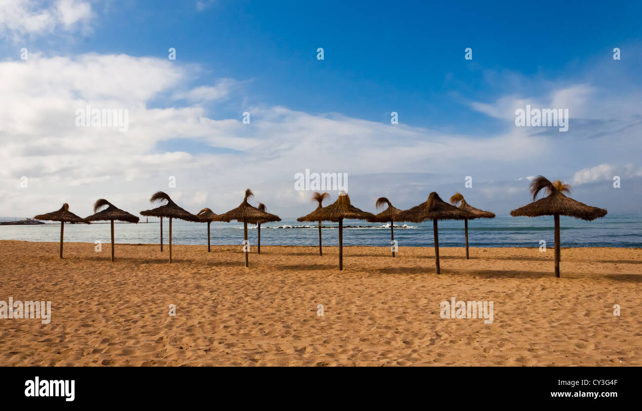 Parasols on the beach in the sun light Stock Photo