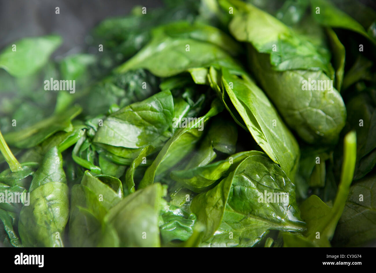 Cooking baby leaf spinach Stock Photo - Alamy
