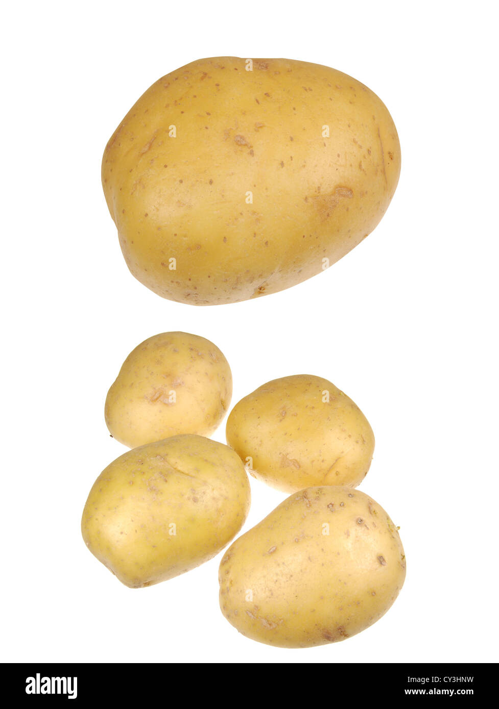 Set of Golden Potatoes Isolated on White Stock Photo