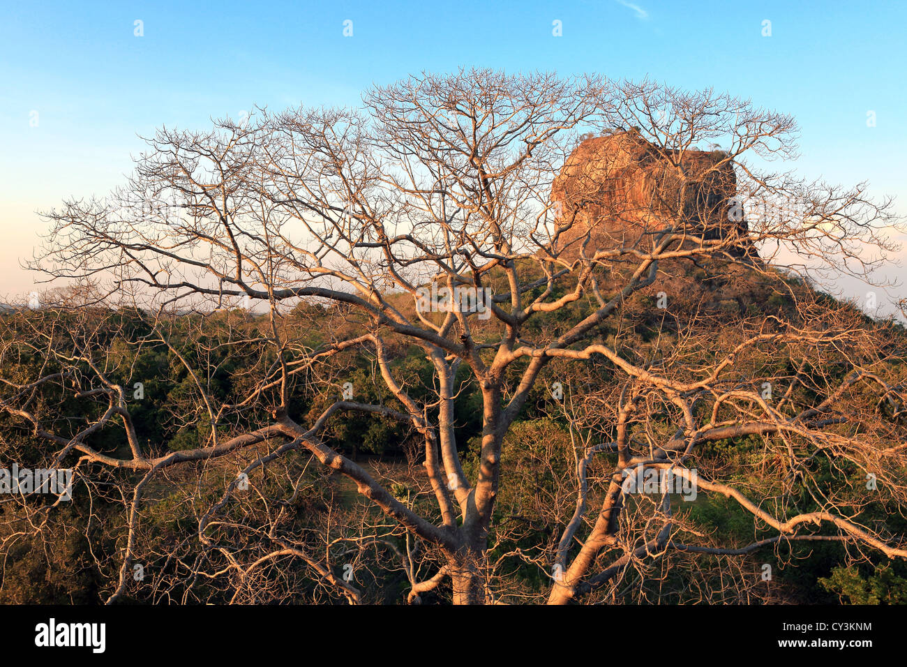 Sigiriya Lion's rock ancient fortress and palace ruin in Sigiriya, Sri Lanka Stock Photo