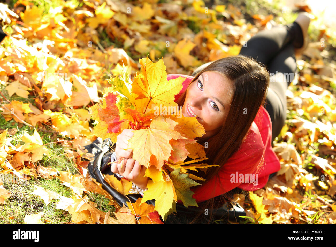 Young woman with autumn leaves in hand and fall yellow maple garden ...