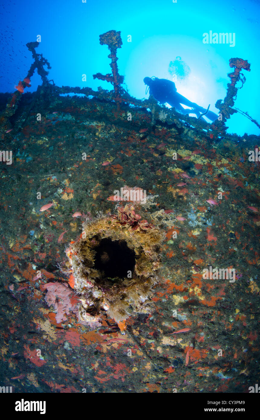 Wreck of Isonzo, Cagliari, Sardinia, Italy, Mediterranean Stock Photo