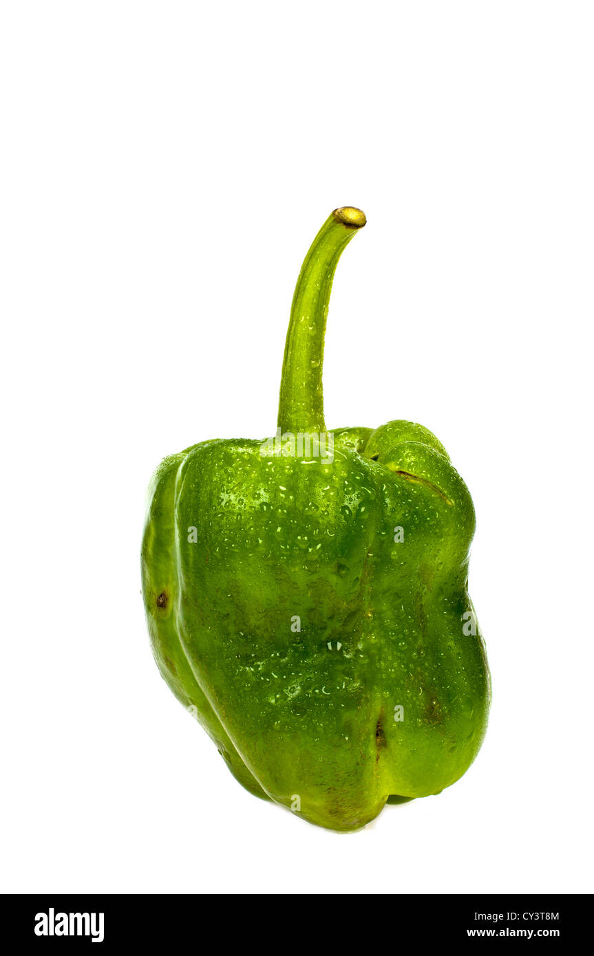 green sweet bell peppers isolated on white background Stock Photo - Alamy