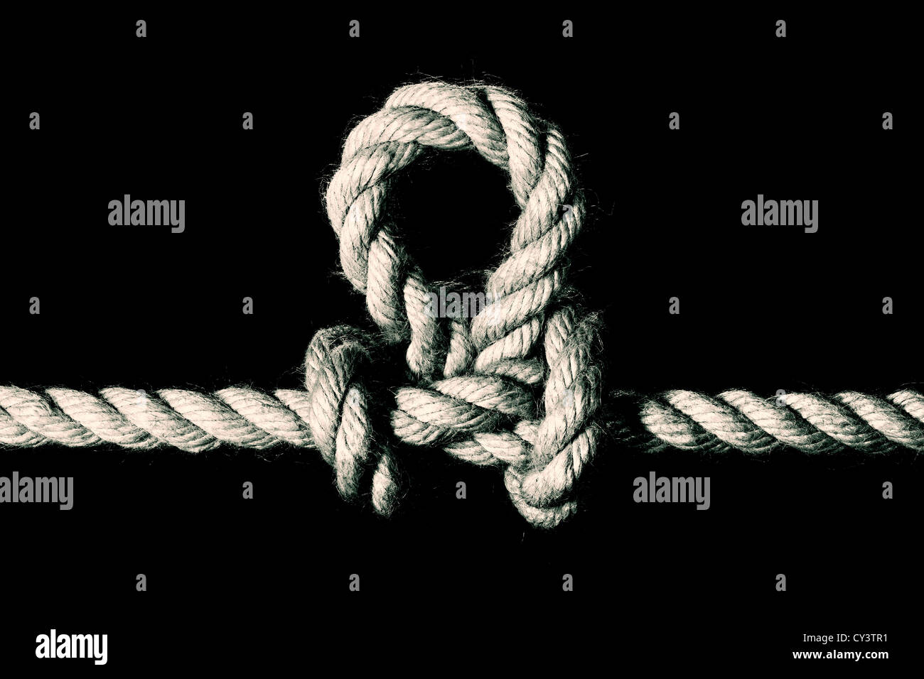 Alpine Butterfly Knot Stock Photos Alpine Butterfly Knot