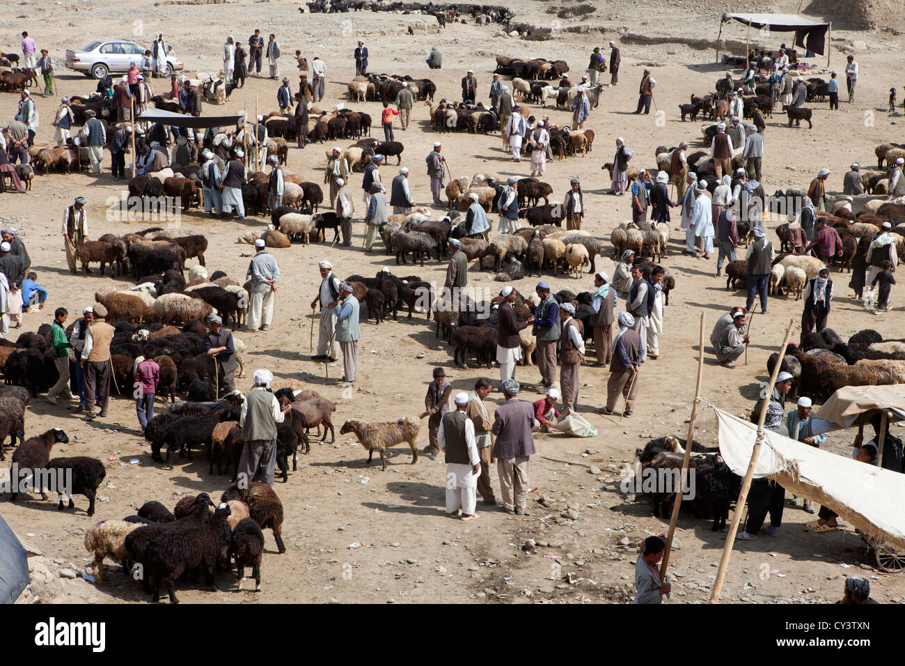 livestock market in kabul, Afghanistan Stock Photo