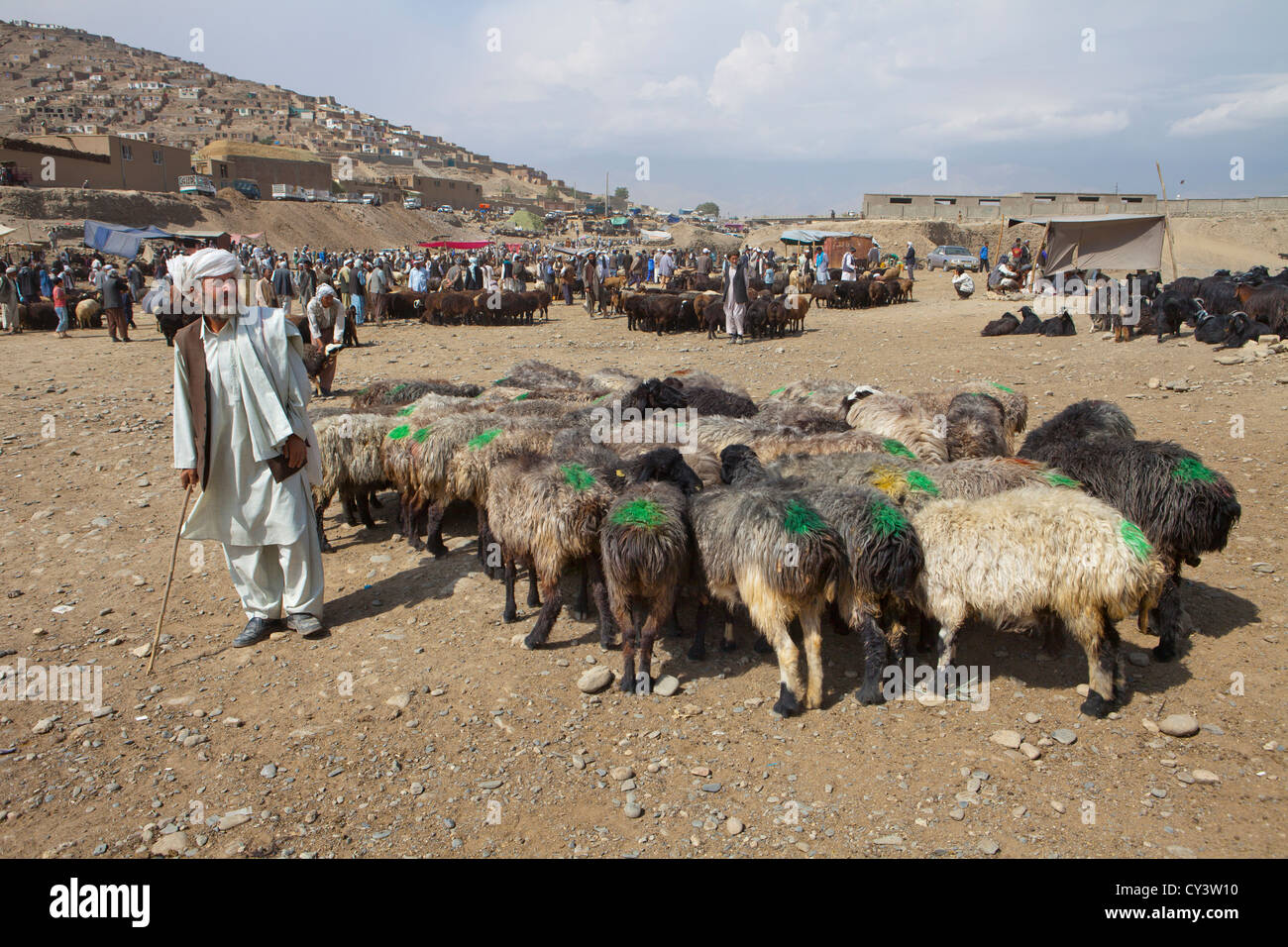 livestock market in kabul, Afghanistan Stock Photo