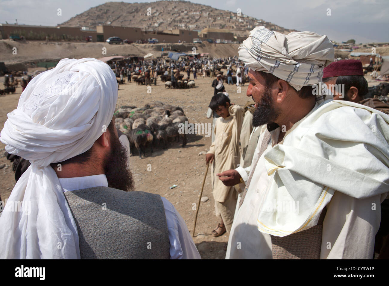 livestock market in kabul, Afghanistan Stock Photo