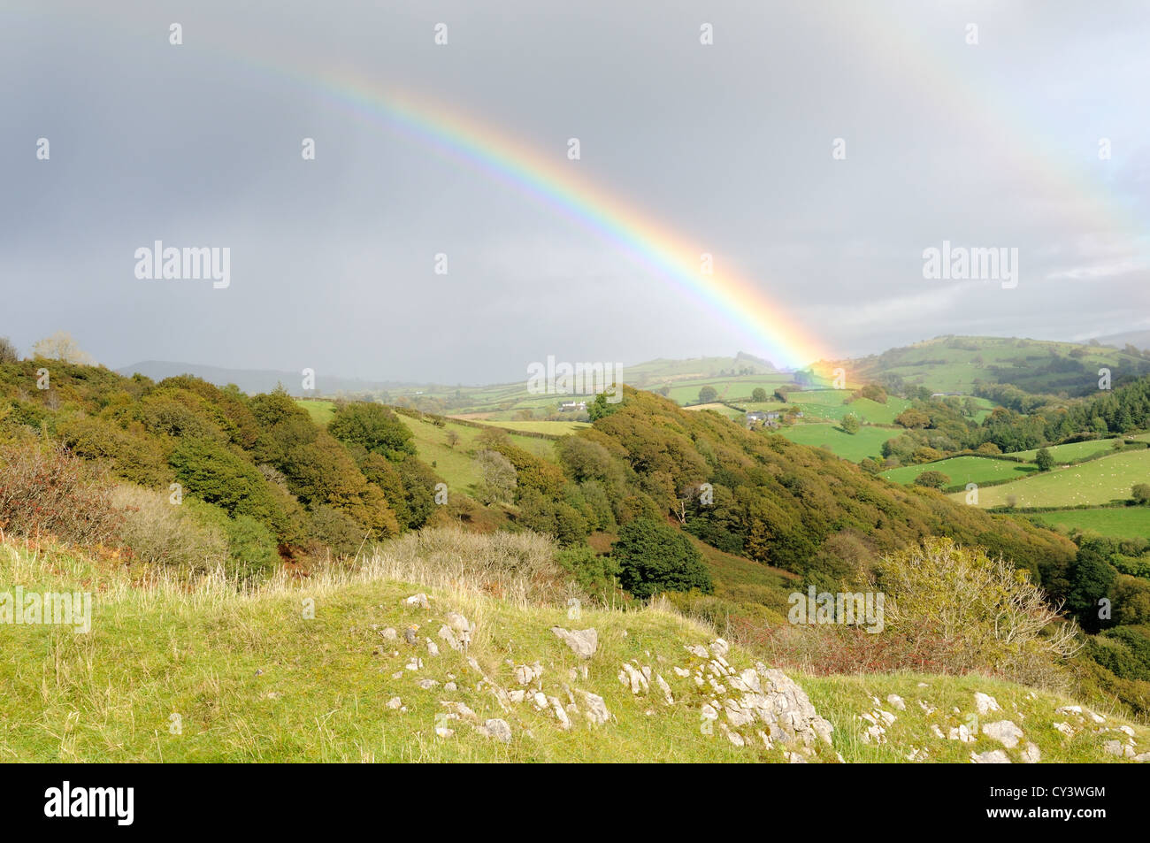 Rainbow over native oak woodland in autumn Carmarthenshire Wales Cymru UK GB Stock Photo