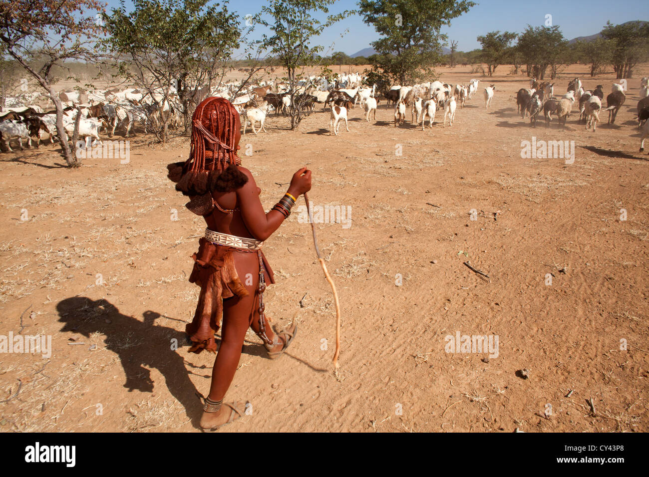 Himba tribe in Namibia Stock Photo - Alamy