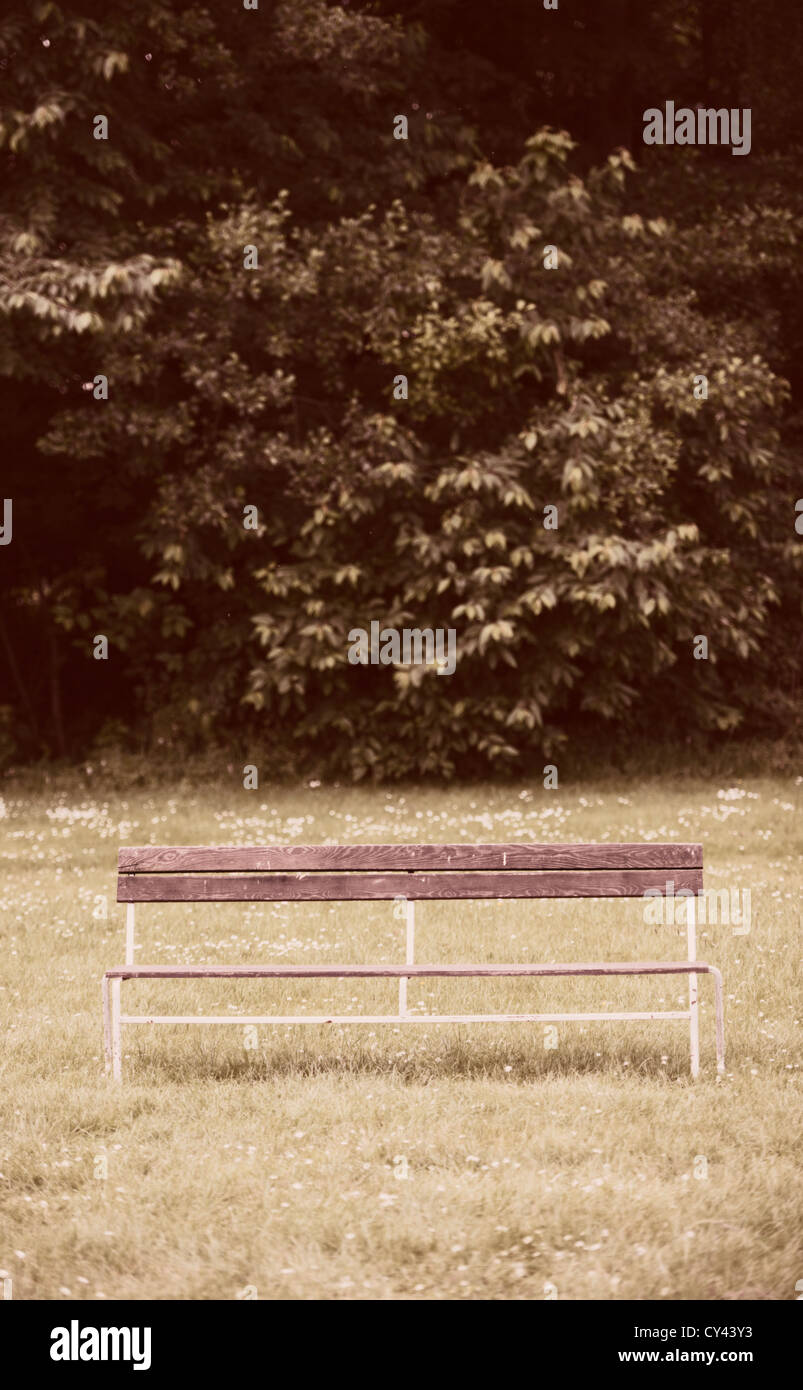 Empty bench trees in forest hi-res stock photography and images - Alamy