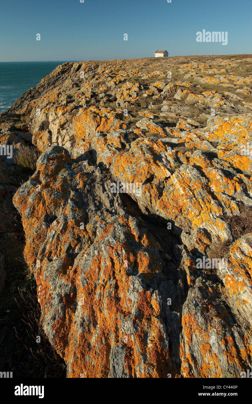 Europe, France, Brittany, Morbihan (56), Ile de Croix, the wild coast, rocks covered with lichens, and isolated house Stock Photo